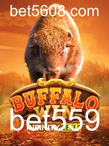 BuffaloWin: Um Mergulho no Mundo do Jogo com Bet559